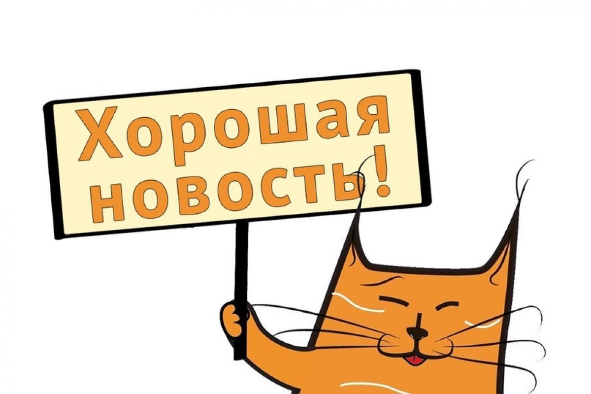 Новость 5